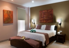 One Bedroom Apartment