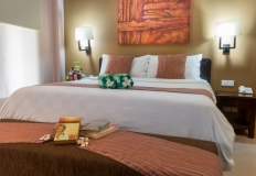 One_Bed_Room_Apartment_16_800x533