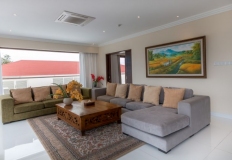a_penthouse_living_room_09_800x492